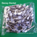 Dental Disposable Prophy Brush